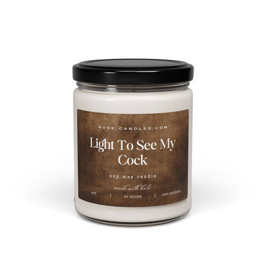 Light To See My Cock 9oz Soy Candle