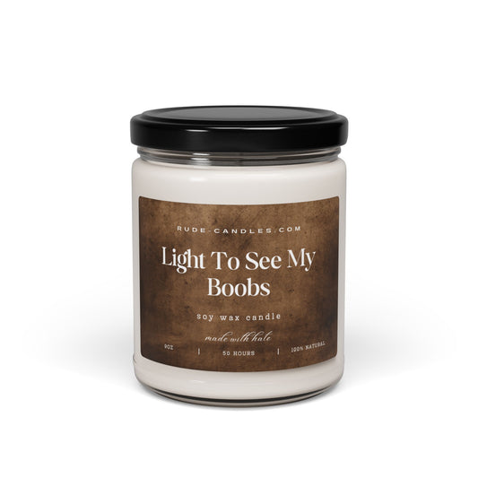 Light To See My Boobs 9oz Soy Candle